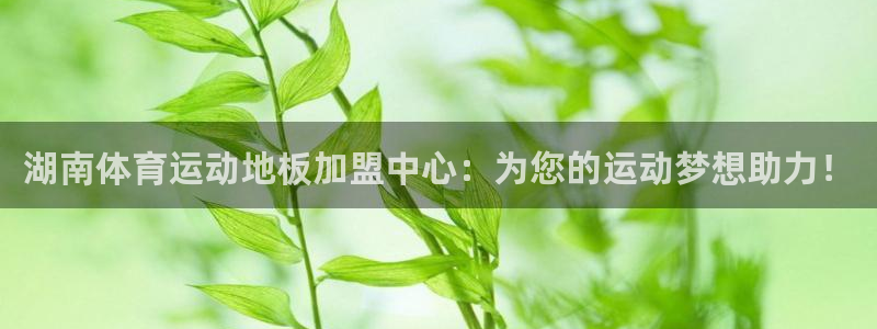 678体育知识