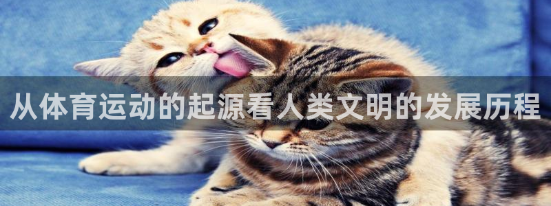 678体育官网下载：从体育运动的起源看人类文明的发展历程