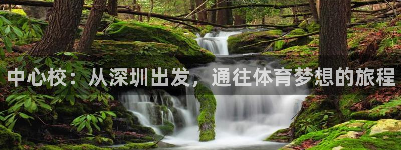 678体育官网下载