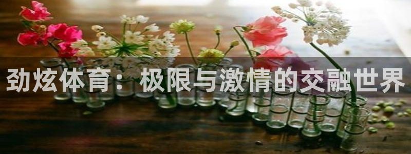 678体育知识