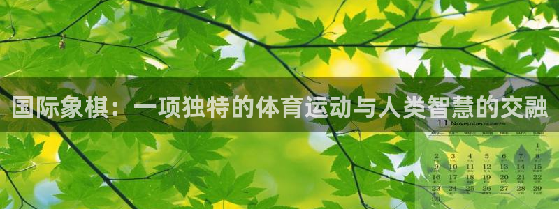 678体育官网