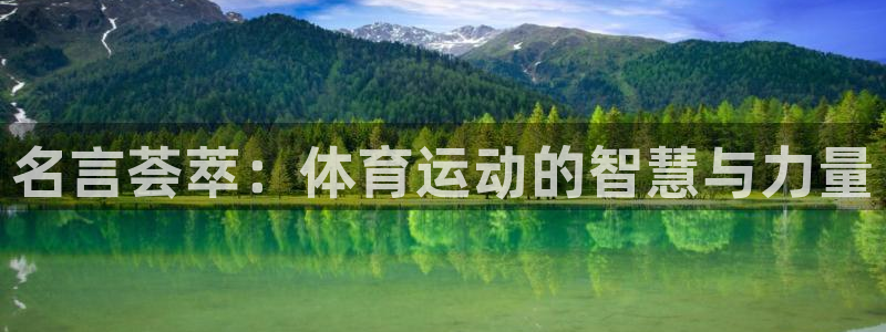 678体育官网