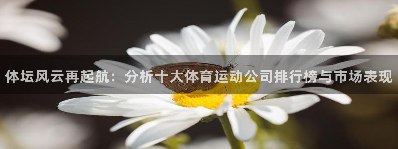 678体育官网下载