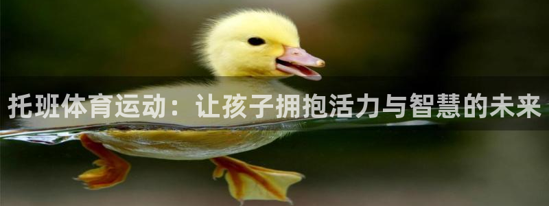 678体育官网：托班体育运动：让孩子拥抱活力与智慧的未来