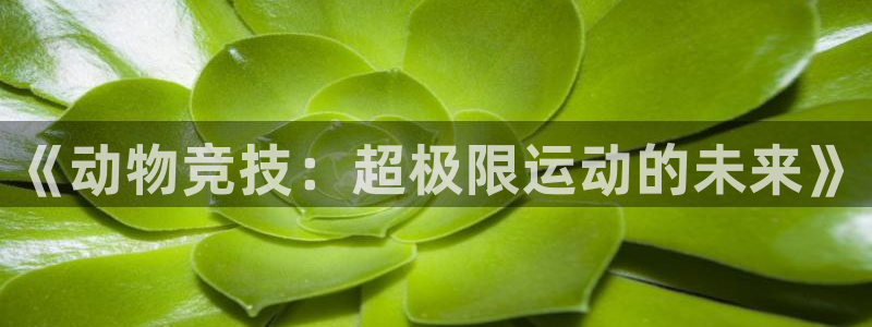 皇冠678体育：《动物竞技：超极限运动的未来》